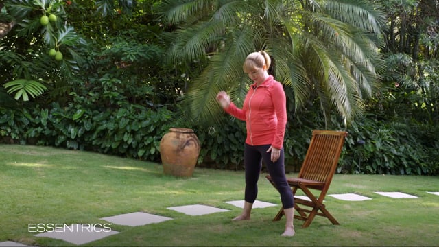 Essentrics Full Body Workout Vol. 3 & Stretch Series Vol. 1 DVD Box Set