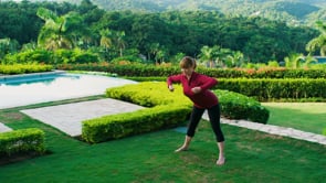 Rebalance and Reboot Your Body